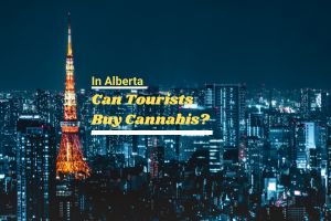 Must-Know Cannabis Rules for Tourists in Alberta.