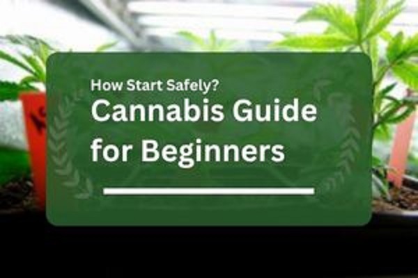 Cannabis Guide for Beginners: How Start Safely?