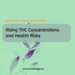 Rising THC Concentrations in Cannabis What Health Risks Does it Pose