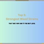 top 5 Strongest Weed Strains to get high