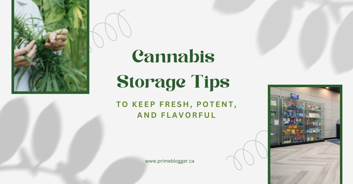 Best Cannabis Storage Tips to Keep It Fresh, Potent, and Flavorful