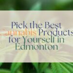 How to Choose the Right Cannabis Products in Edmonton