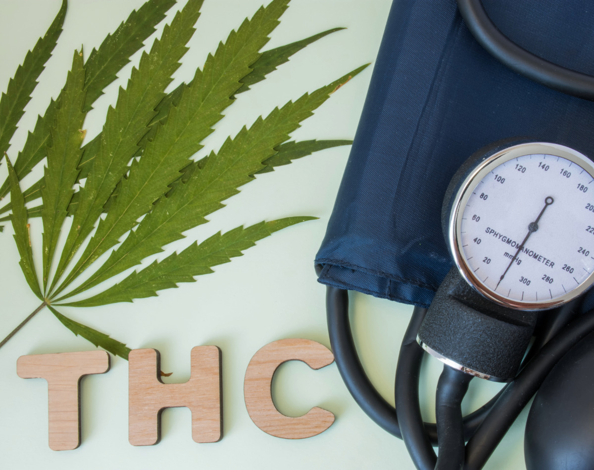 The main difference between low THC and high THC strains is potency. Low THC products tend to offer milder effects, while high THC products can feel much stronger and may increase the chance of uncomfortable side effects.