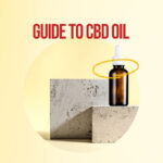 A Comprehensive Guide to CBD Oil
